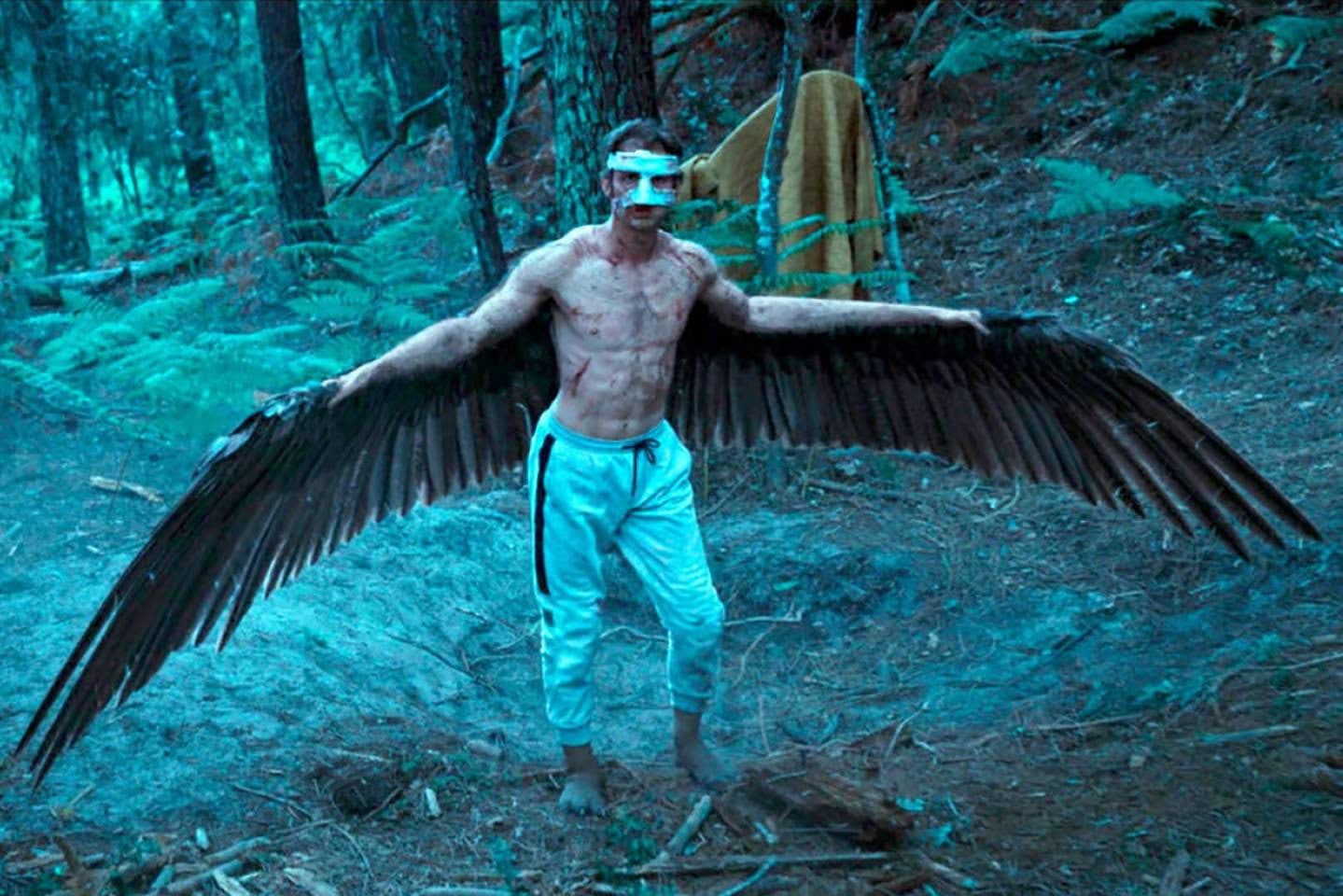 El reino animal reestructura los relatos de lobizones y otras hibridaciones animales.