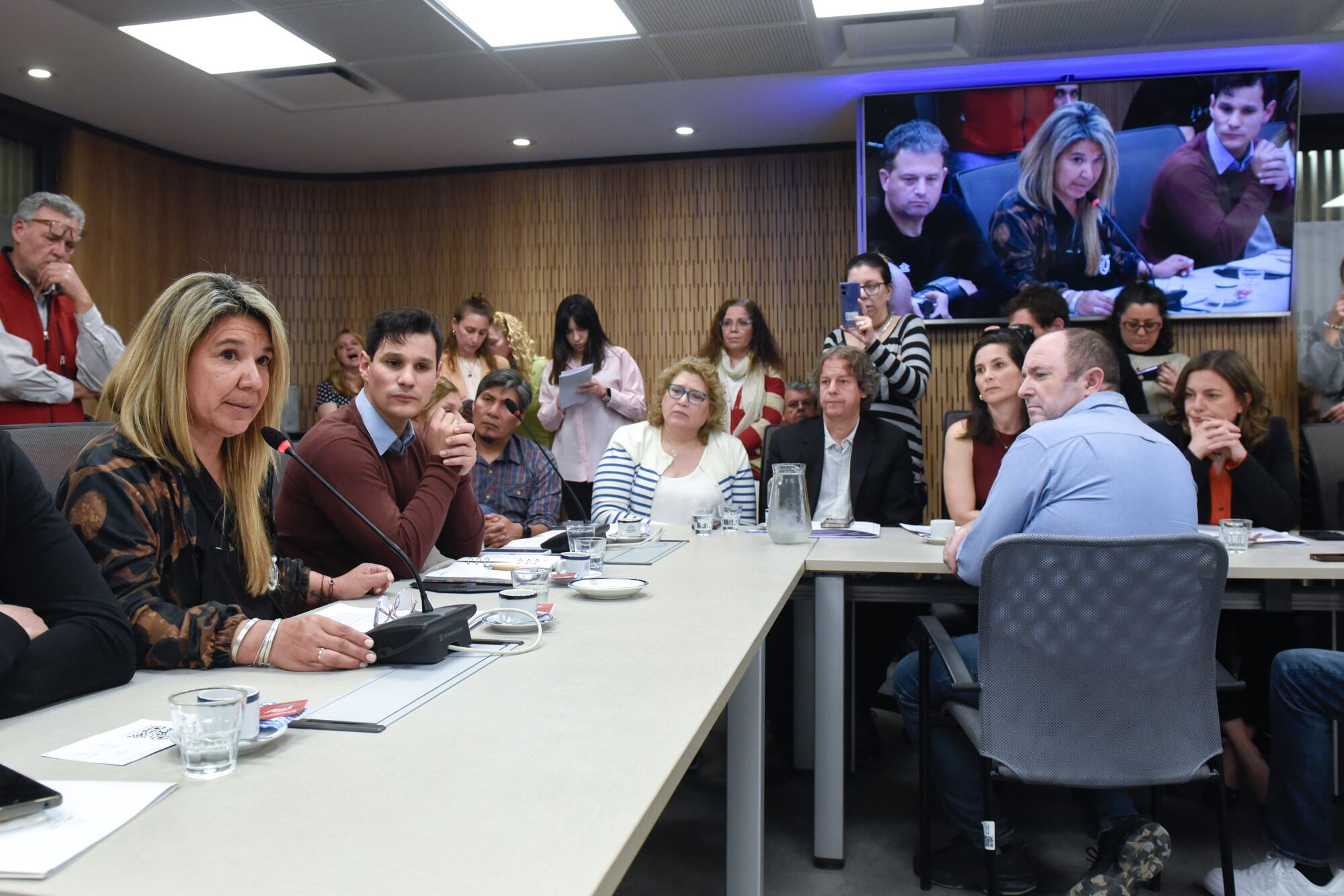 En Diputados, dispuestos a investigar las muertes por fentanillo.