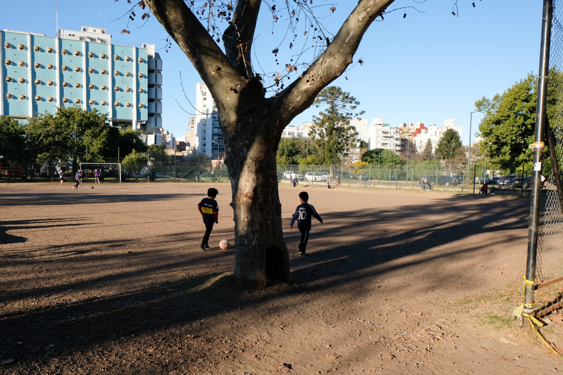 En el potrero del Parque hay botines, camisetas, pelotas y un árbol que los futbolistas respetuosamente esquivan.