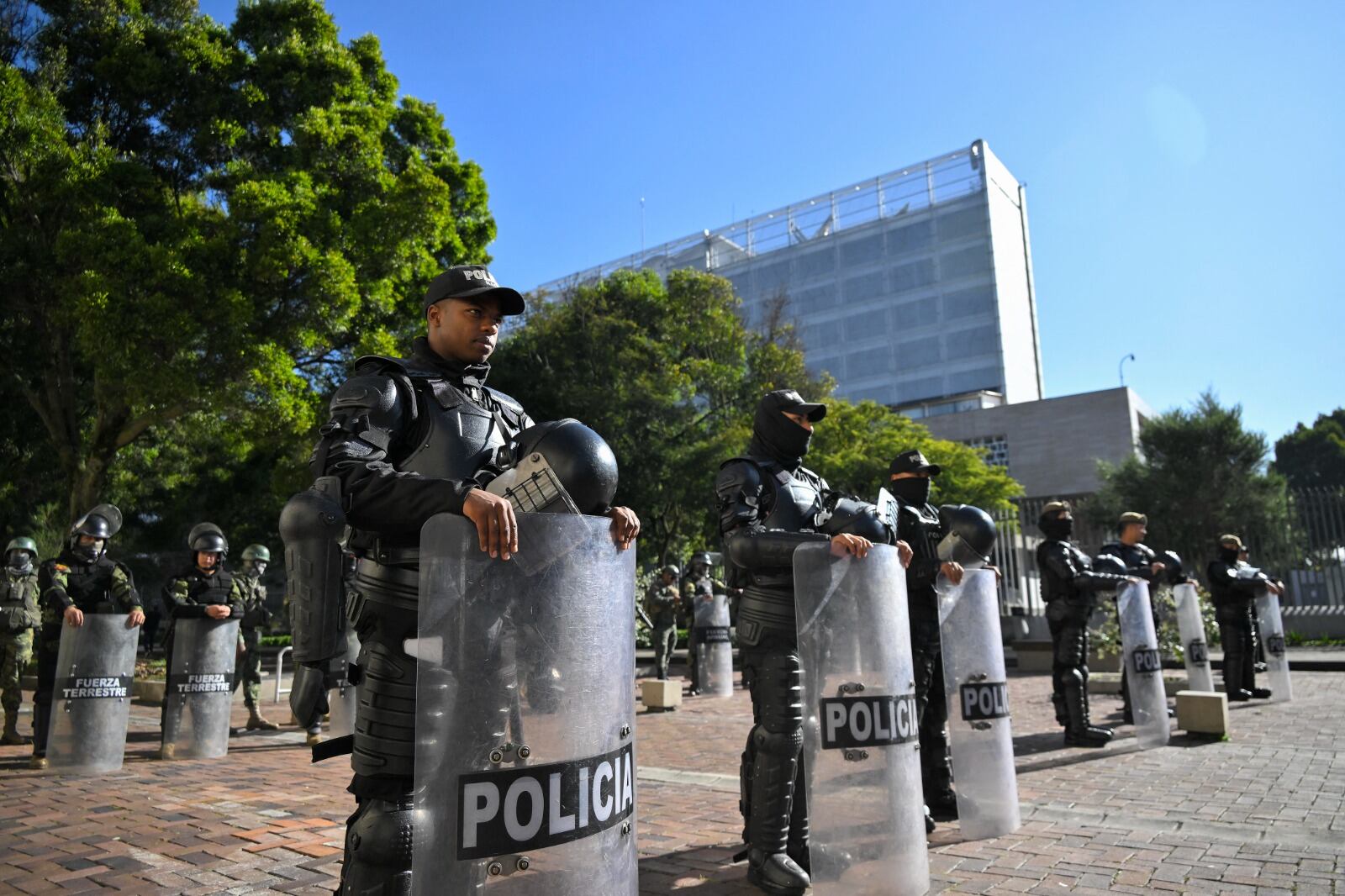 Policías custodian la sede de la Asamblea Nacional despues de la "muerte cruzada".