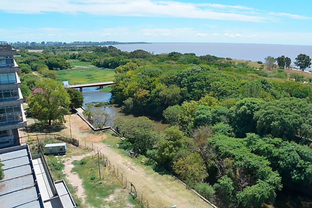 Los recitales son al lado de la reserva ecológica.