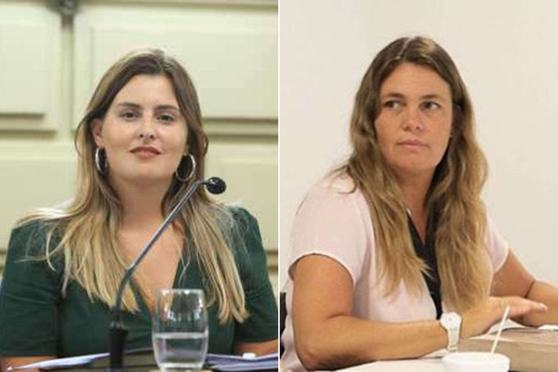 Diputadas del Frente Progresista Lionella Cattalini y Silvana Di Stéfano.