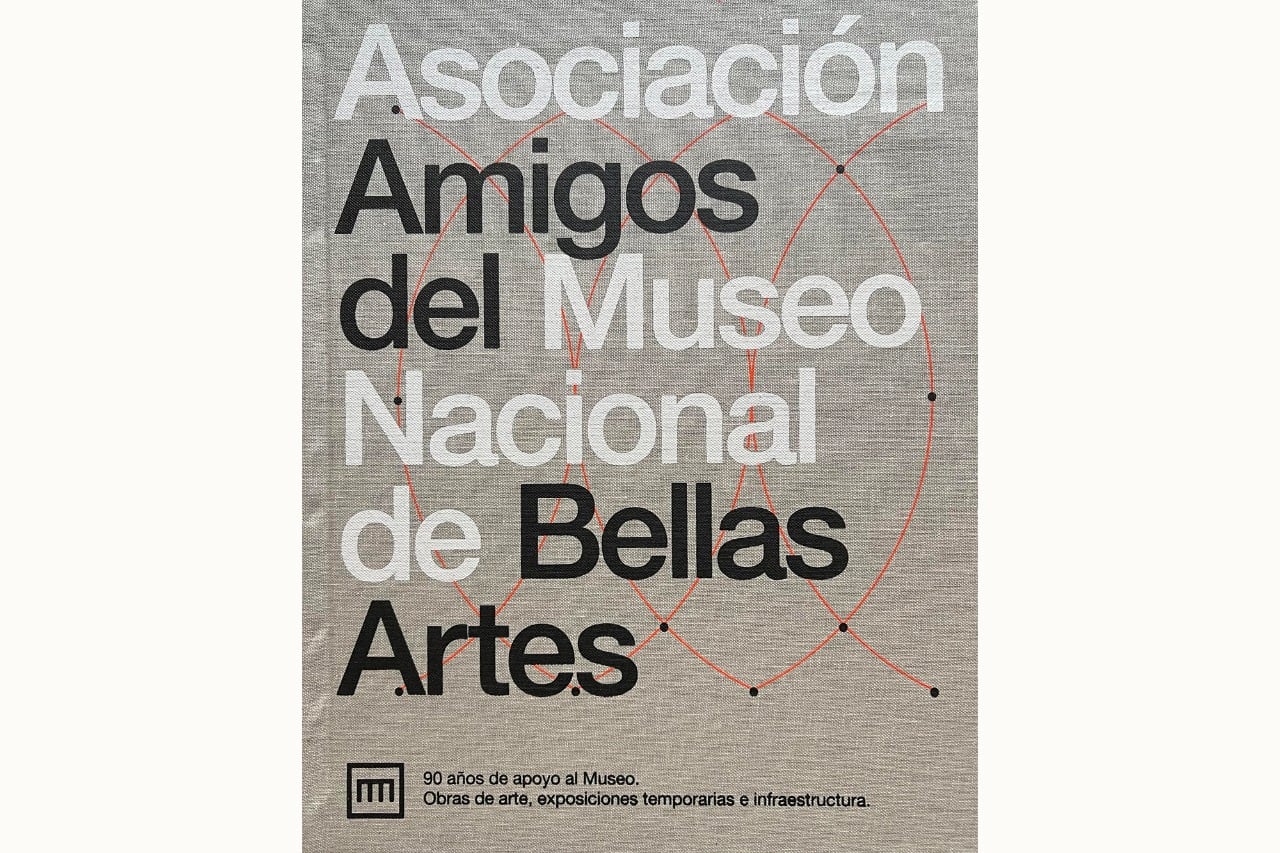 Portada del libro de Amigos del MNBA