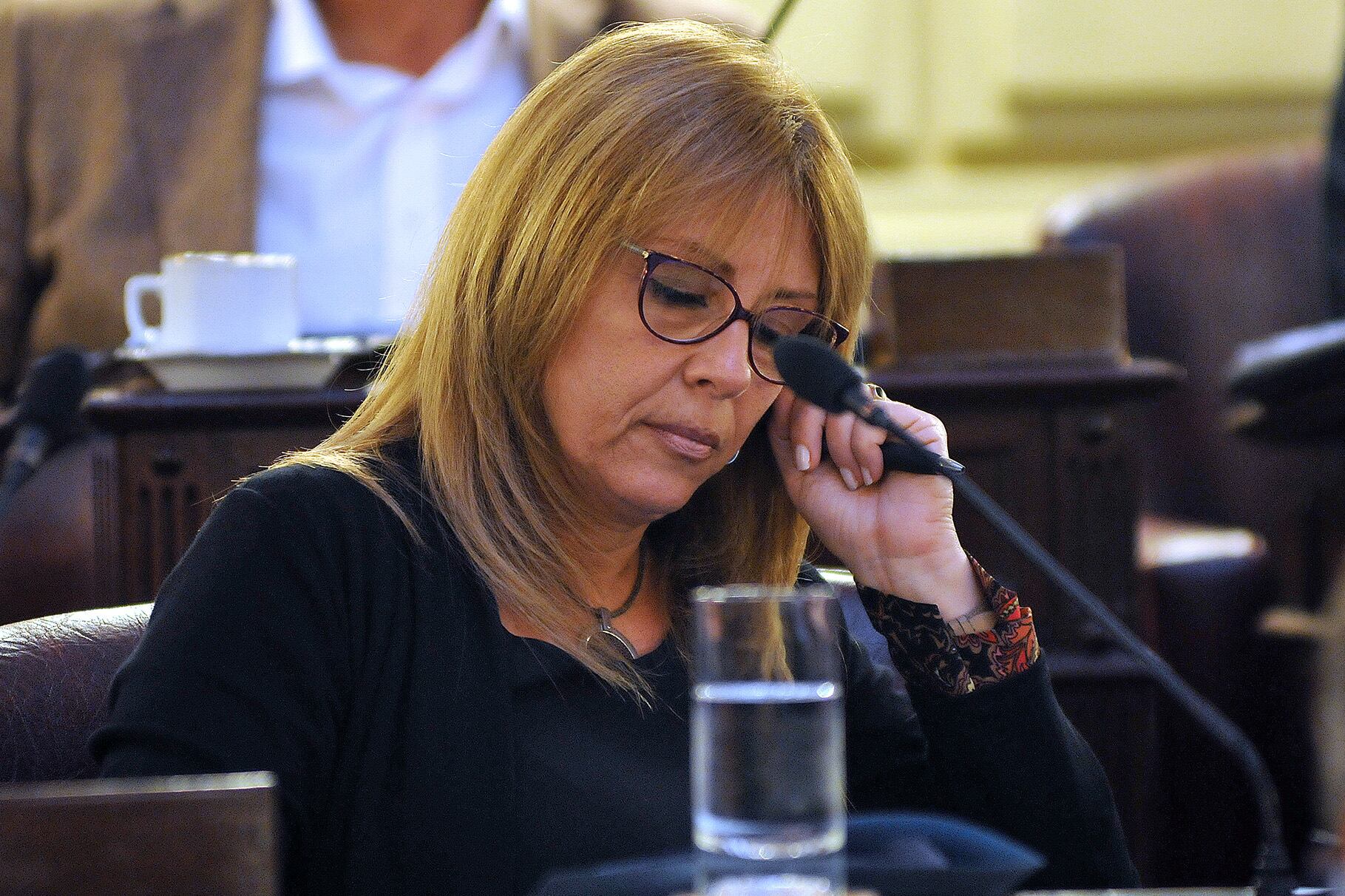La diputada Giaccone (PJ) fue una de las que se quejó por la "bochornosa sesión del jueves".