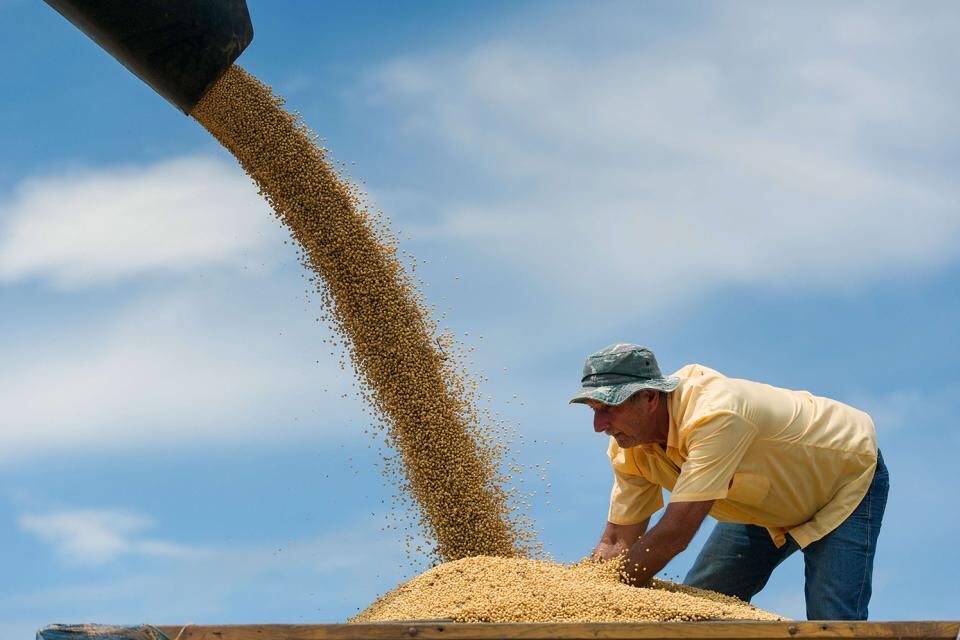 El Gobierno aplicó cambios a las retenciones agropecuarias