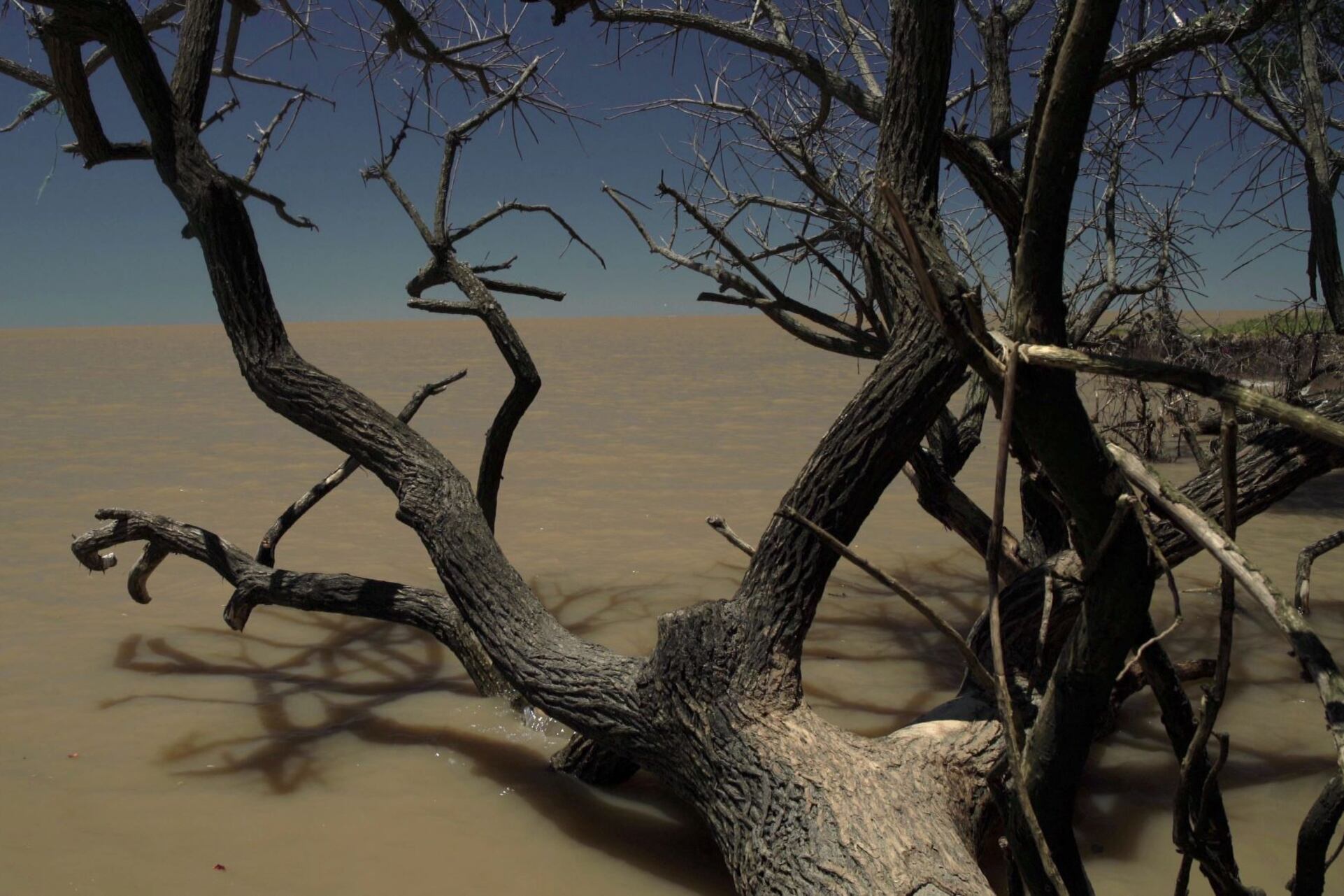 La fotografía, a cargo del propio realizador, es exquisita.