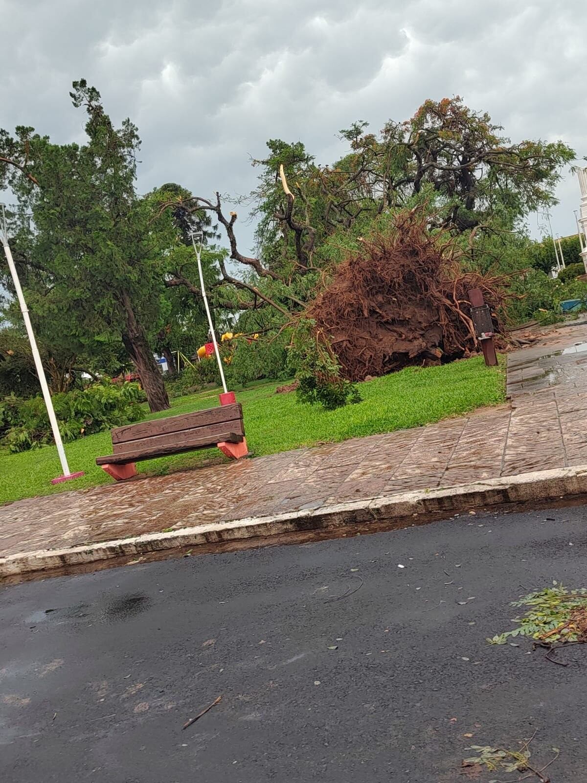 Temporal en Corrientes: los videos de los destrozos en Bella Vista