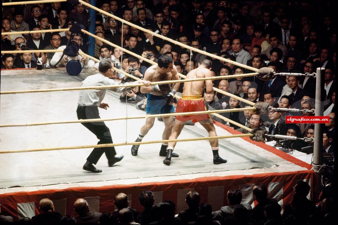 Nicolino castiga al japonés Takeshi  Fuji en Tokio.