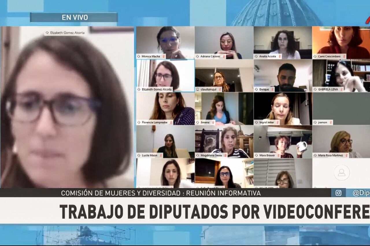 La ministra Elizabeth Gómez Alcorta tuvo una reunión informativa con la comisión de Mujeres y Diversidad.