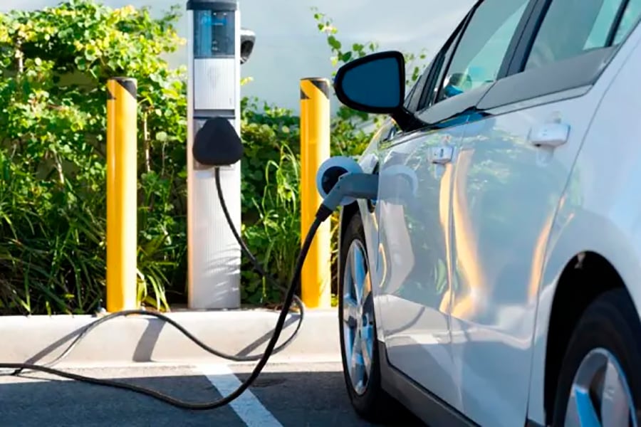 Ingresarán 50.000 unidades.