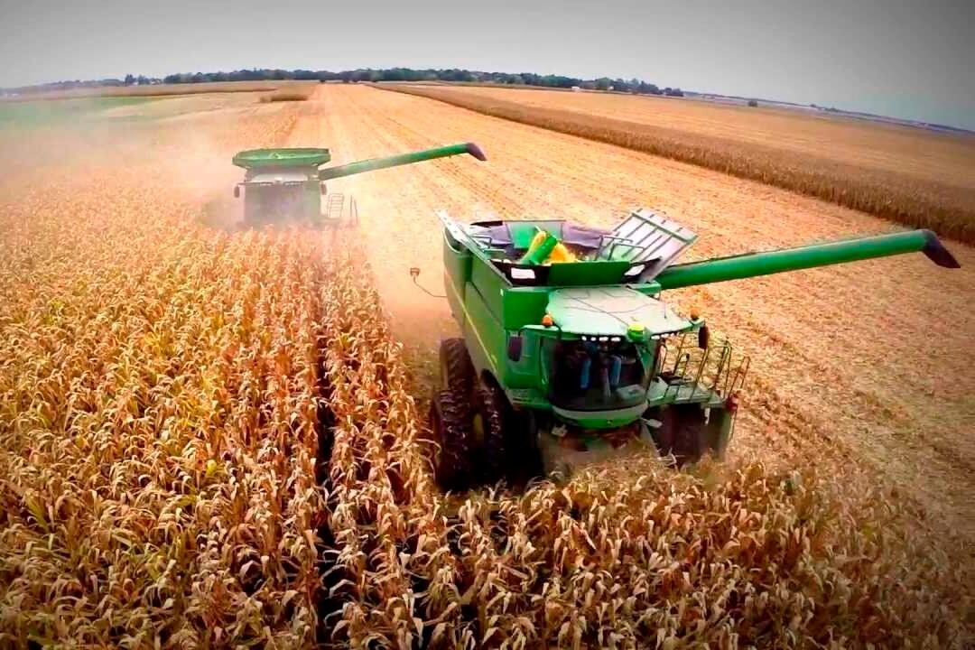 Alcanzan dos semanas de ganancias de las alimenticias para terminar con el hambre en Africa del Este.