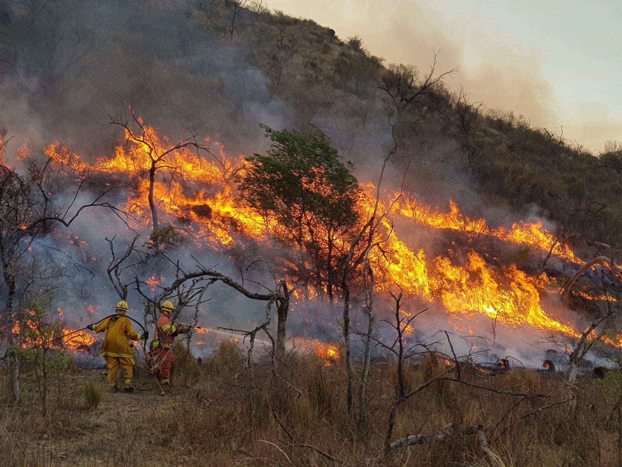 La modificación a la Ley 26.815 de manejo del fuego ahora pasará al Senado.