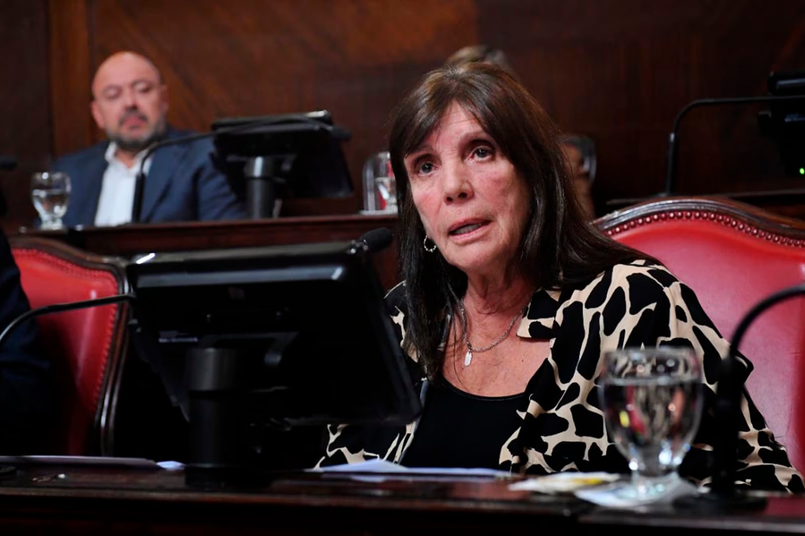 Teresa García fue la encargada de presentar el proyecto en el Senado bonaerense.