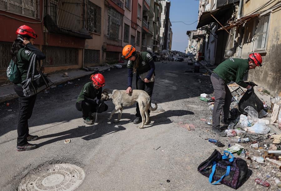 Este lunes se produjo un terremoto de magnitud 6,4 en la provincia turca de Hatay, lo que representa la réplica más fuerte tras los devastadores sismos del 6 de febrero.