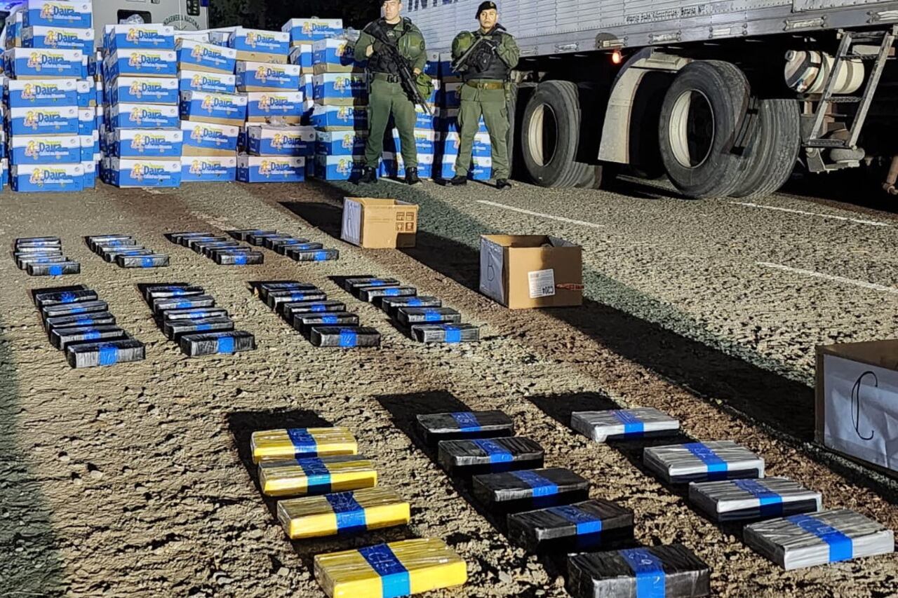 La droga decomisada tras el operativo.