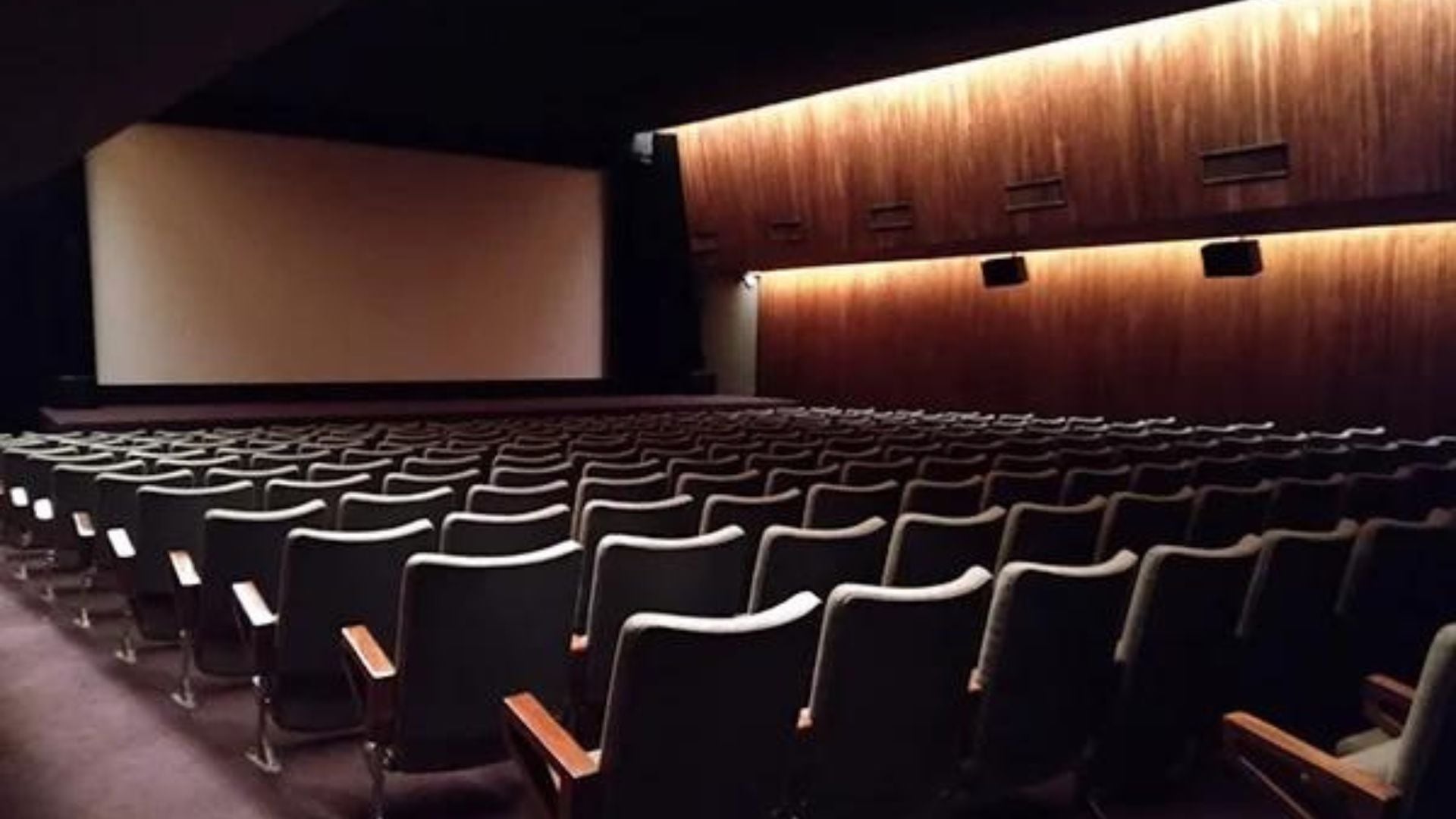 Bafici 2024