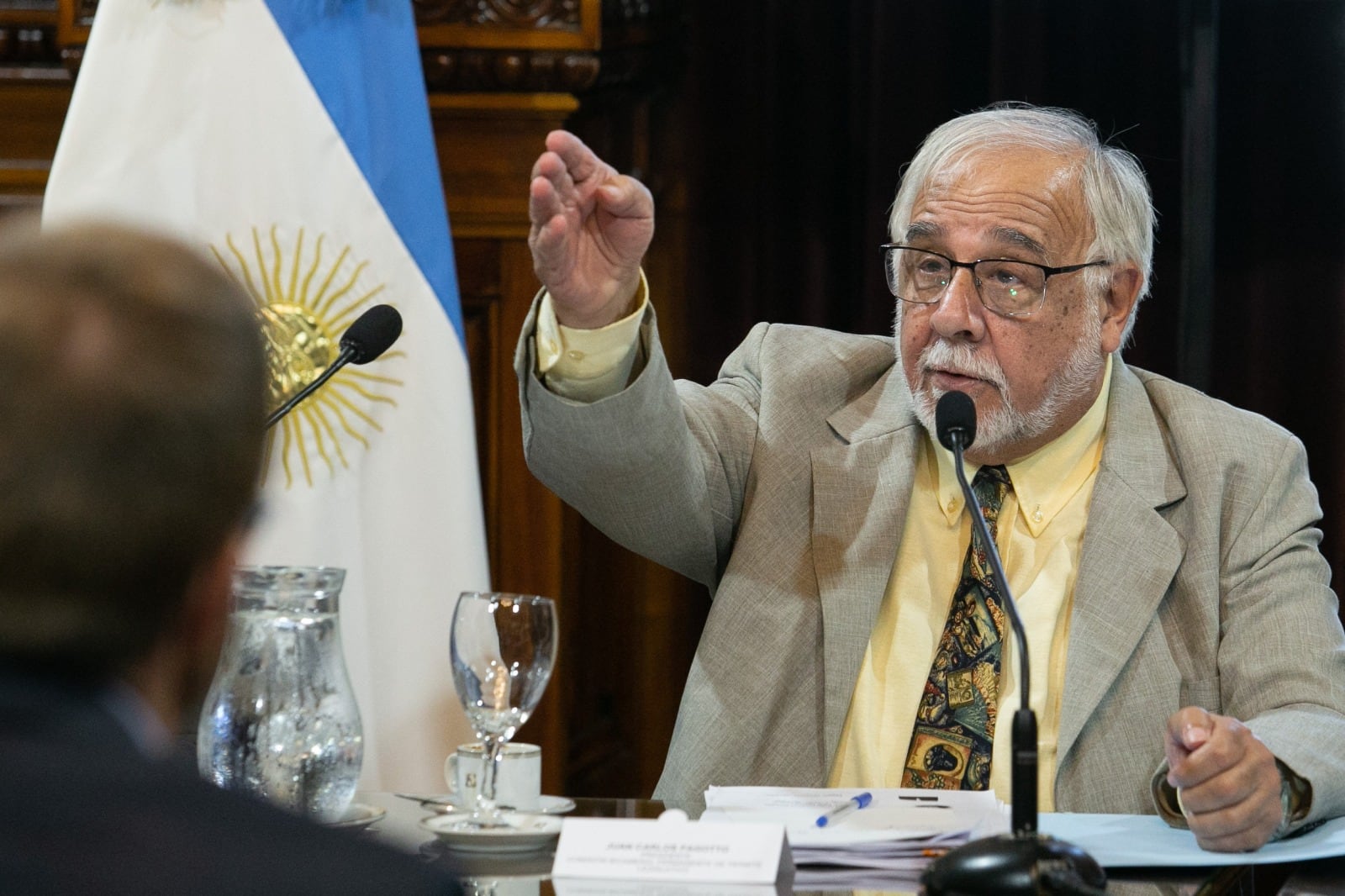 Un senador de La Libertad Avanza intentó que se legalizara la venta de niños. Imagen: Senado Argentina.
