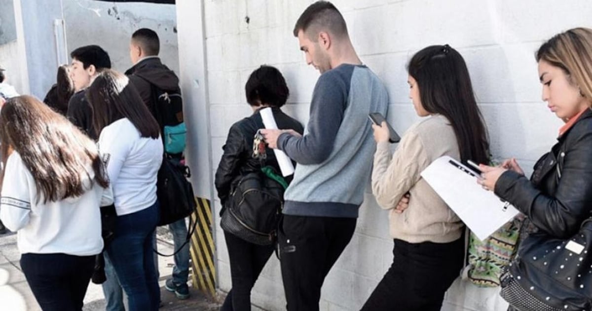 La asfixia mileísta: el 16,8% de las jóvenes bonaerenses están desempleadas – Página|12