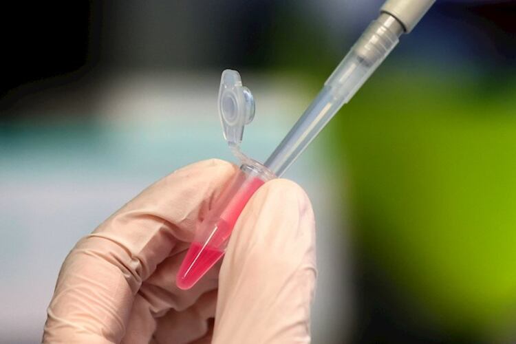 Las pruebas se hicieron sobre 45 personas en marzo.