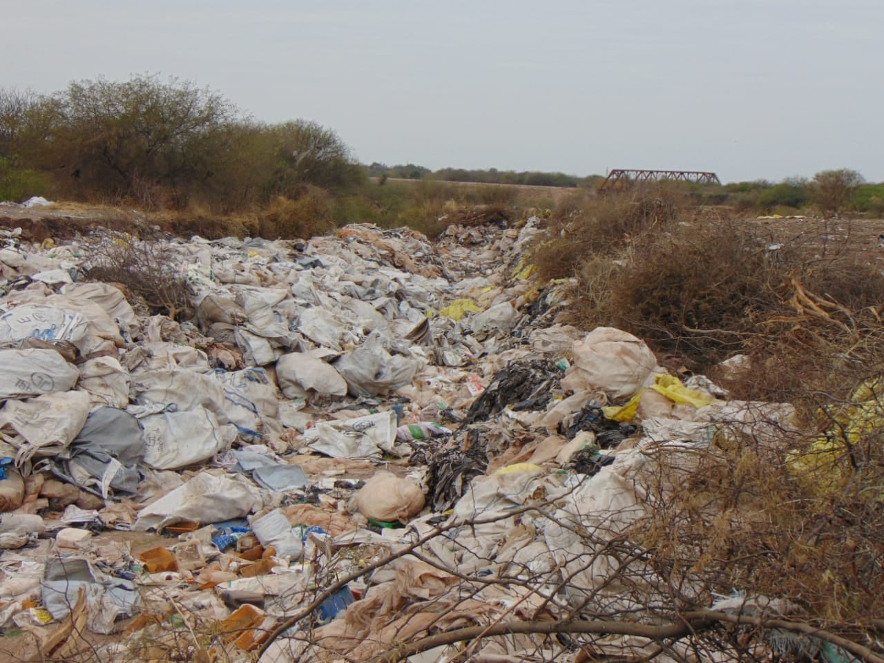 Desechos del agro en Las Lajitas