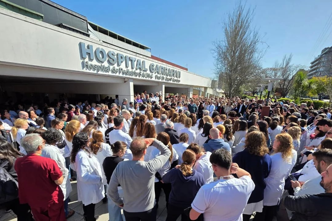 "En lo que va de conflicto se fueron más de 240 profesionales"