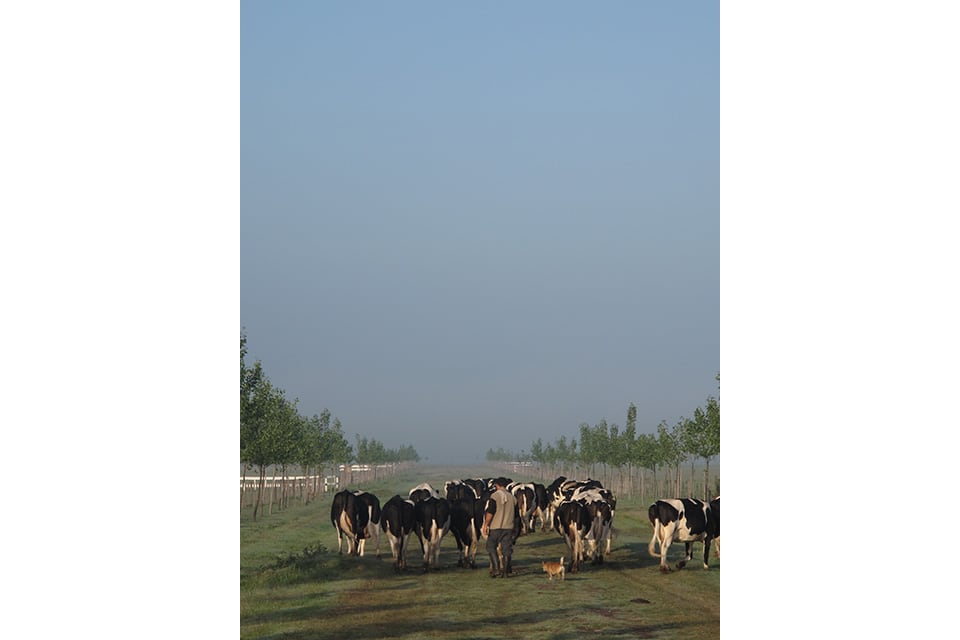 El tambo es explotado por Oscar Licera.