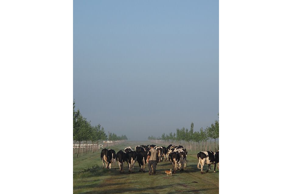 El tambo es explotado por Oscar Licera.
