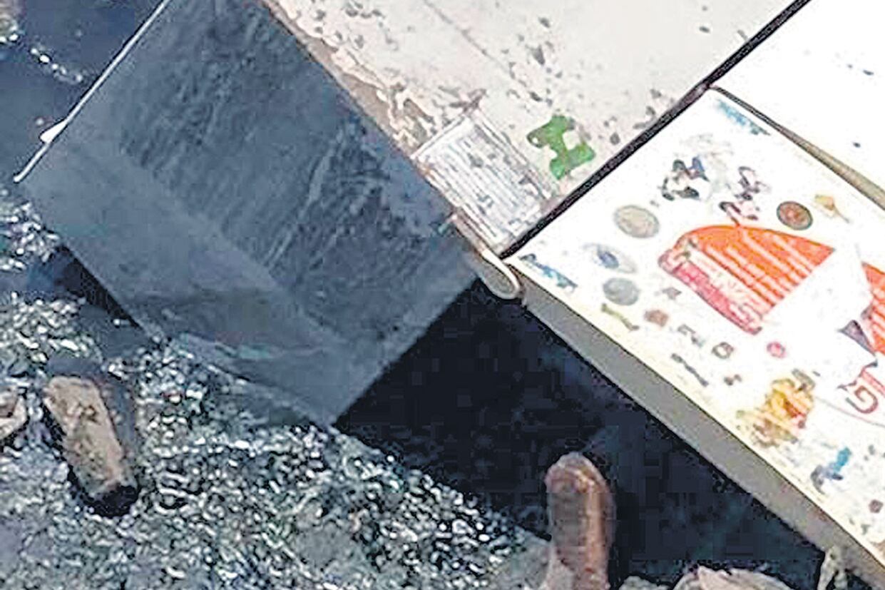 El cuerpo de Jesica Noguera fue arrojado dentro de una heladera.