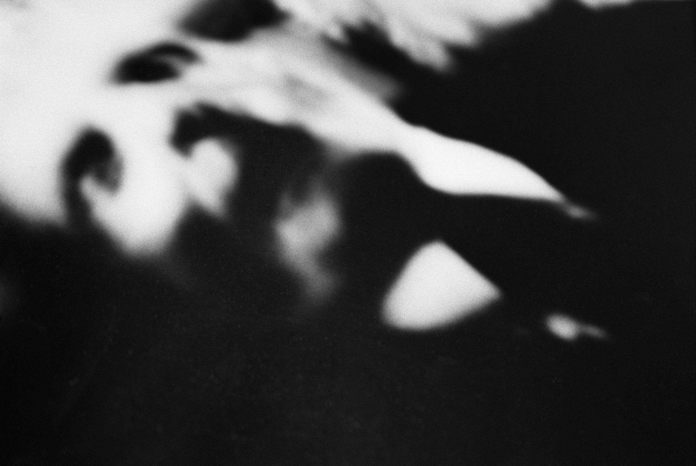 Ph Christine Delory Momberger