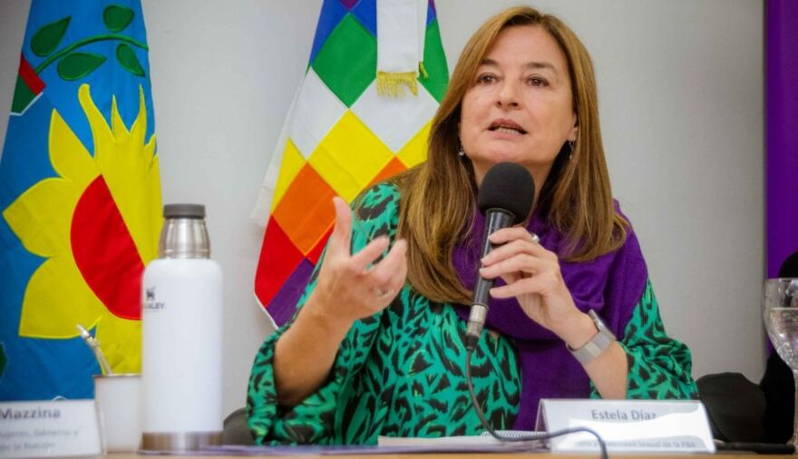 La ministra las Mujeres, Políticas de Género y Diversidad Sexual, Estela Diaz.