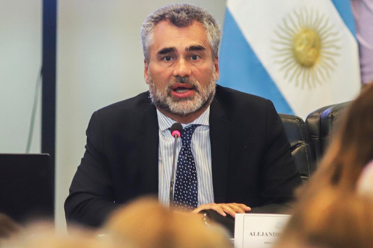 Vanoli estuvo al frente de la Anses desde diciembre pasado. 