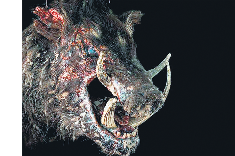 “Es una bestia monstruosa pero deteriorada; quise que se viera curtido, destrozado”, dice Sun de Boar.