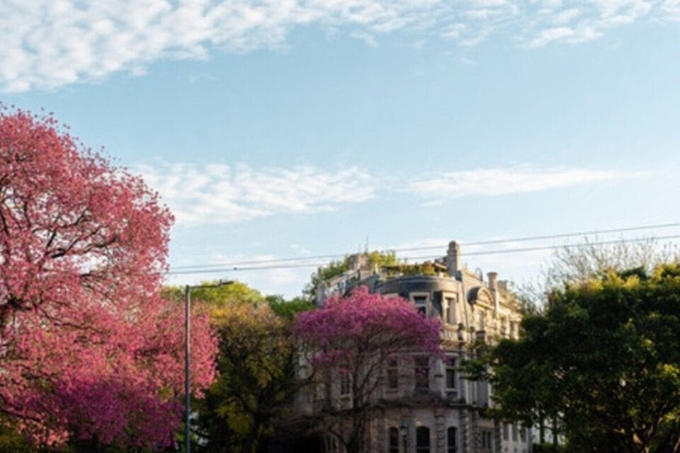 Para este domingo, el SMN espera una temperatura mínima de 21 grados y una máxima de 35. 