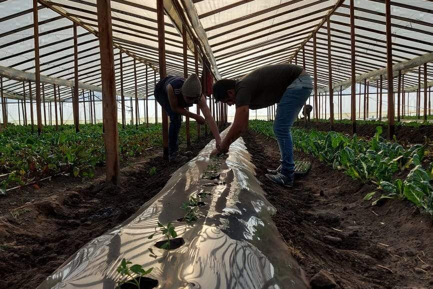 En Daireaux (localidad de 20 mil habitantes de la provincia de Buenos Aires) el estado municipal está creando cooperativas de alimentos, en un proceso que llevó un cambio significativo en la ciudad. 