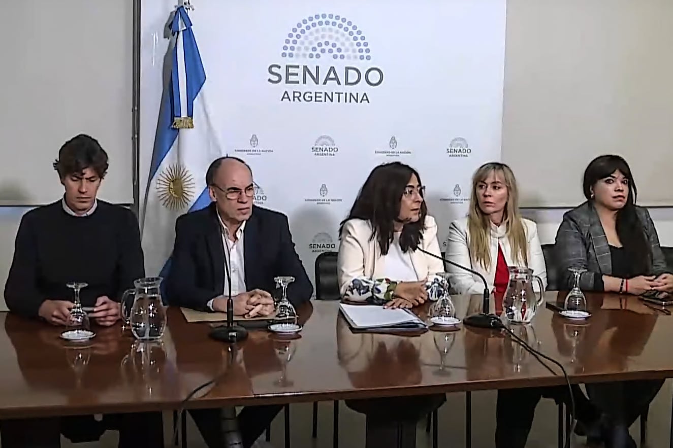 Los senadores durante la conferencia de prensa que brindaron este martes