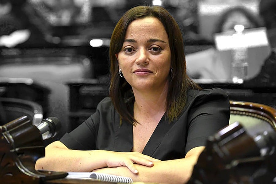 "La oposición es lobista de Pfizer, por eso insisten con el tema", dijo Cecilia Moreau.