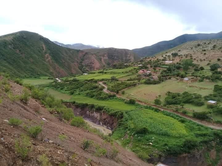 Mecoyita, Argentina