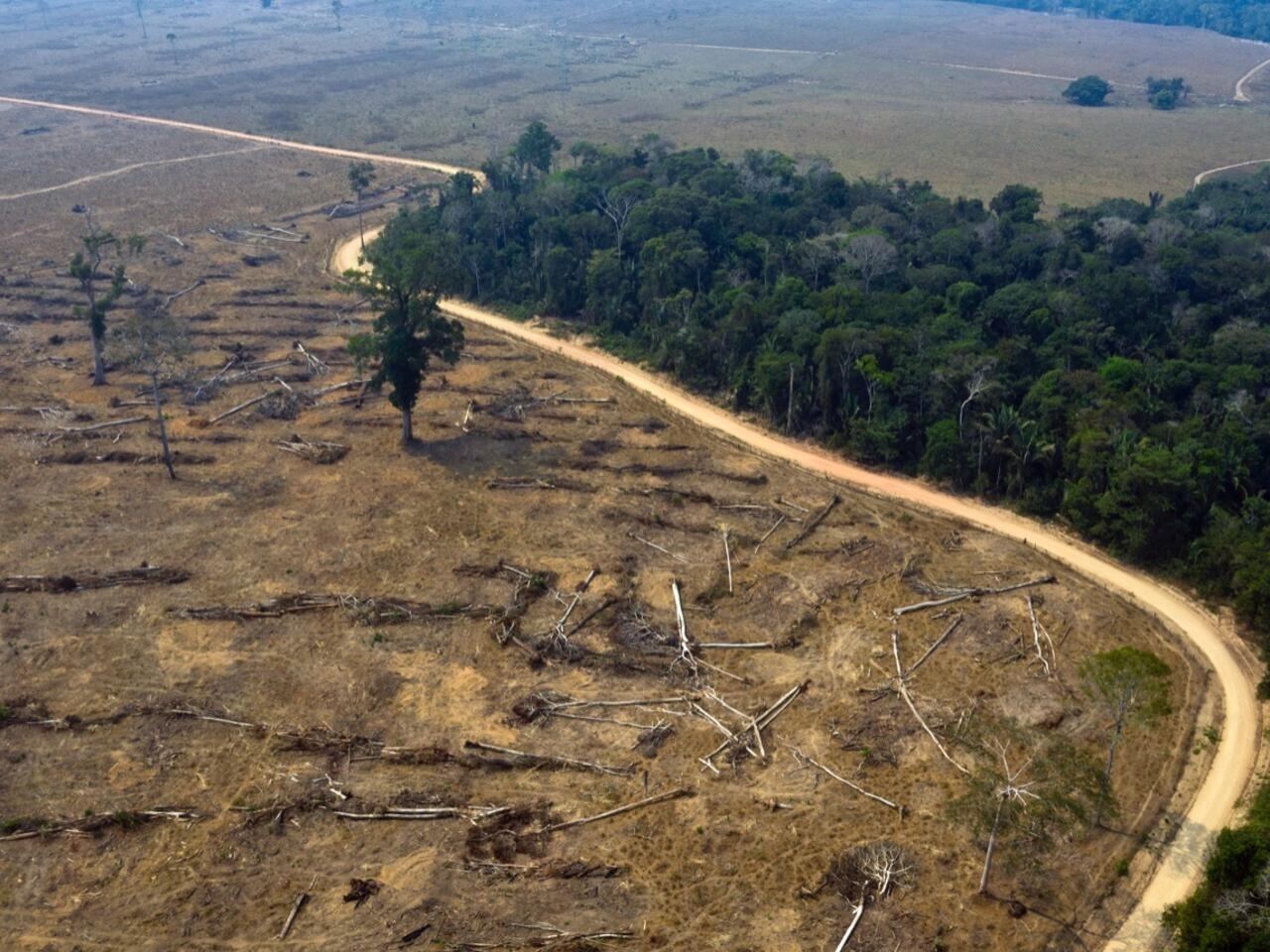 Entre los años 2020 y 2021, indica Greenpeace, la Amazonia brasileña perdió 8.712 Km2 de selva. (Foto: AFP)
