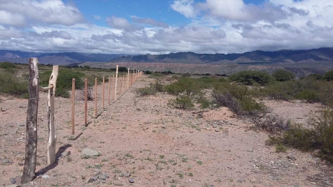 El alambrado que apareció en la localidad de Buena Vista 