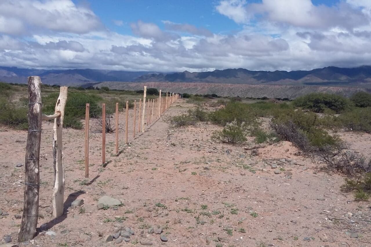 El alambrado que apareció en la localidad de Buena Vista