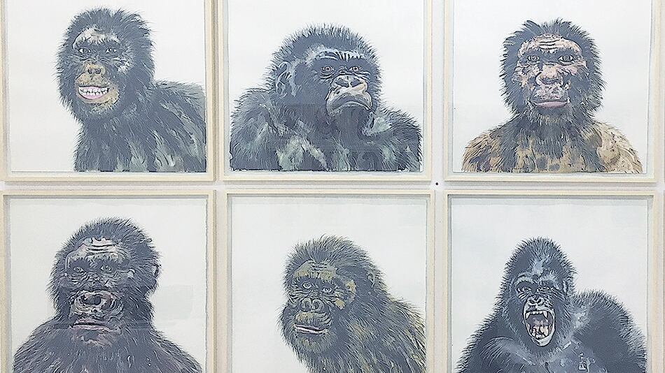 Detalle de Gabinete, serie de F. Brizuela. Abajo: vista parcial de la “caverna” de A.Toro.