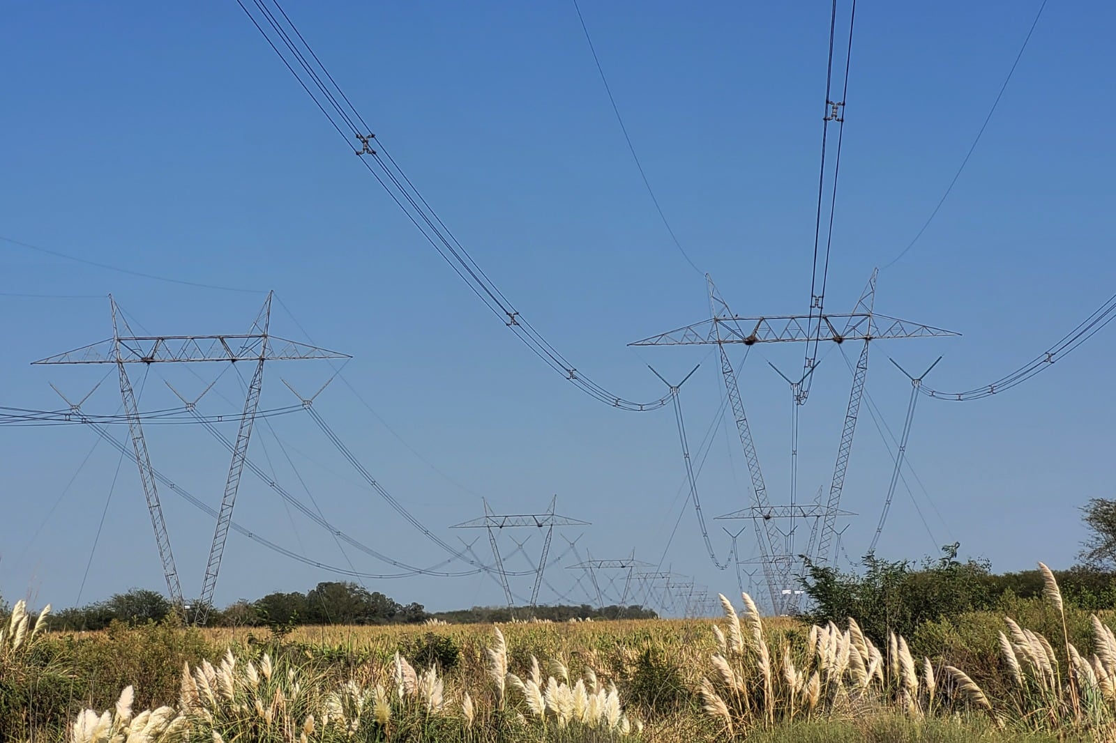 El sistema energético mayorista en riesgo por disputas internas del gobierno