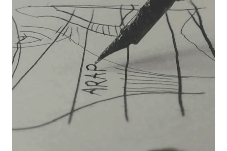 Scratching, de Leticia Obeid (2007, frame)