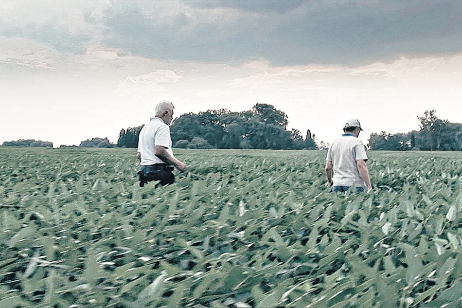 La película de Solanas recorre los “desiertos verdes” provocados por el monocultivo de la soja.