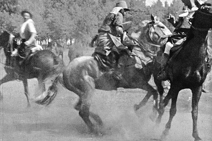 Cuatreros tiene como origen una explosión catártica que Carri consigue transformar en algo más.