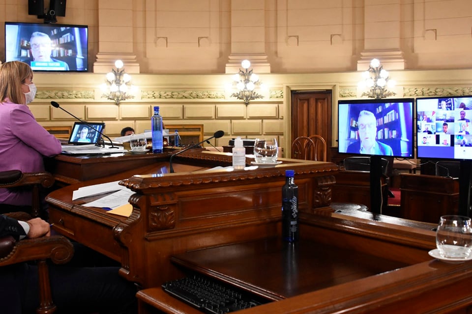 Rodenas, presidenta del Senado, destacó la nueva modalidad.