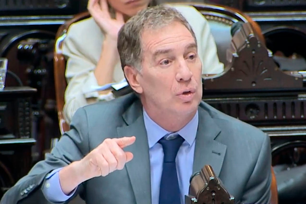 CAPTURA PANTALLA
diego santilli congreso