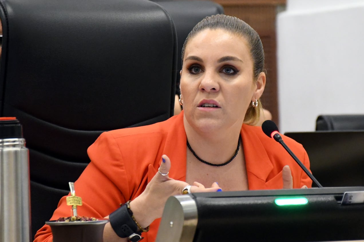 CONCEJO MUNICIPAL, SESION ORDINARIA, DECLARACION AUTONOMIA DE ROSARIO,  Fernanda Gigliani concejala Rosario
