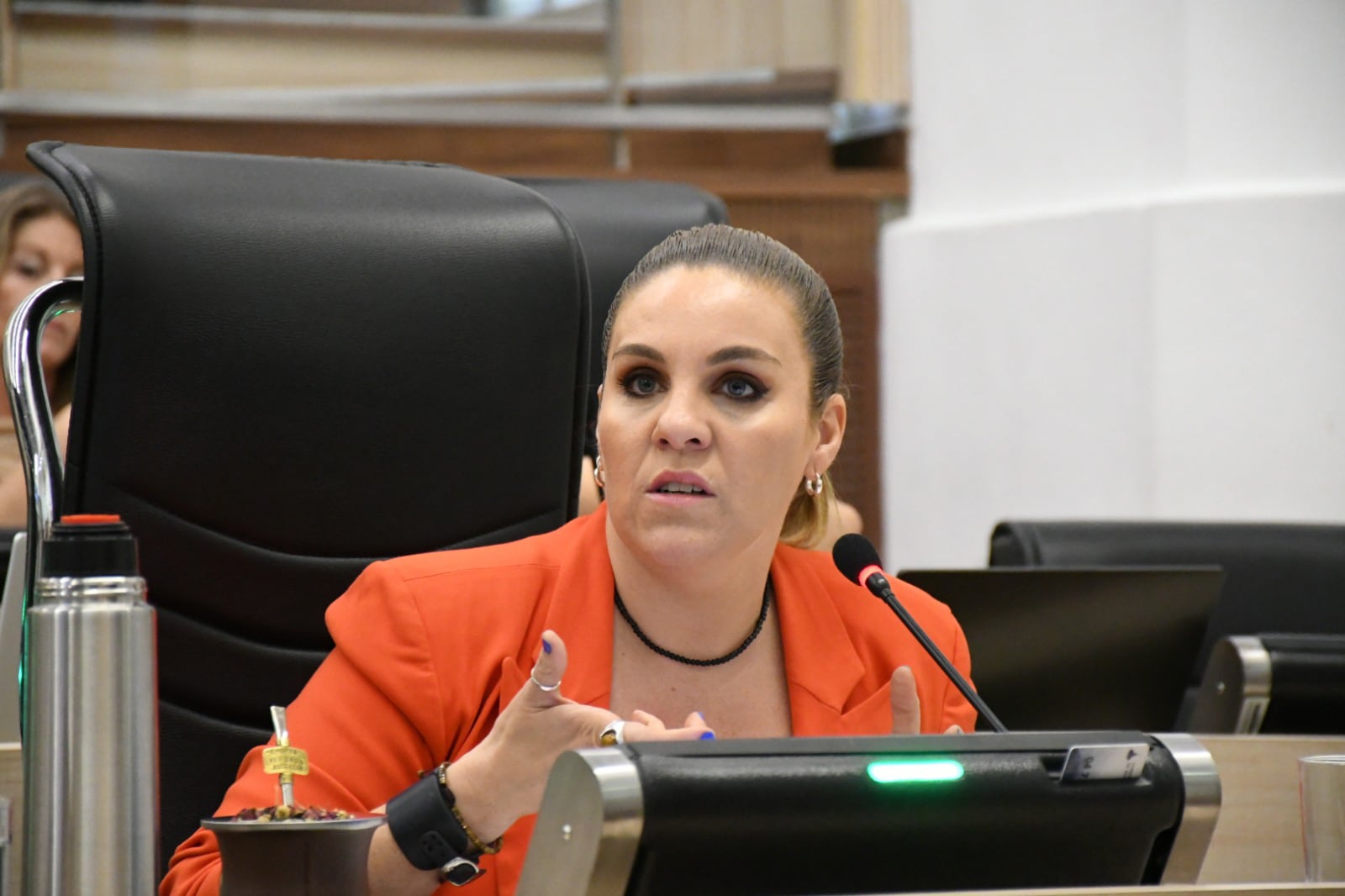 Fernanda Gigliani concejala Rosario