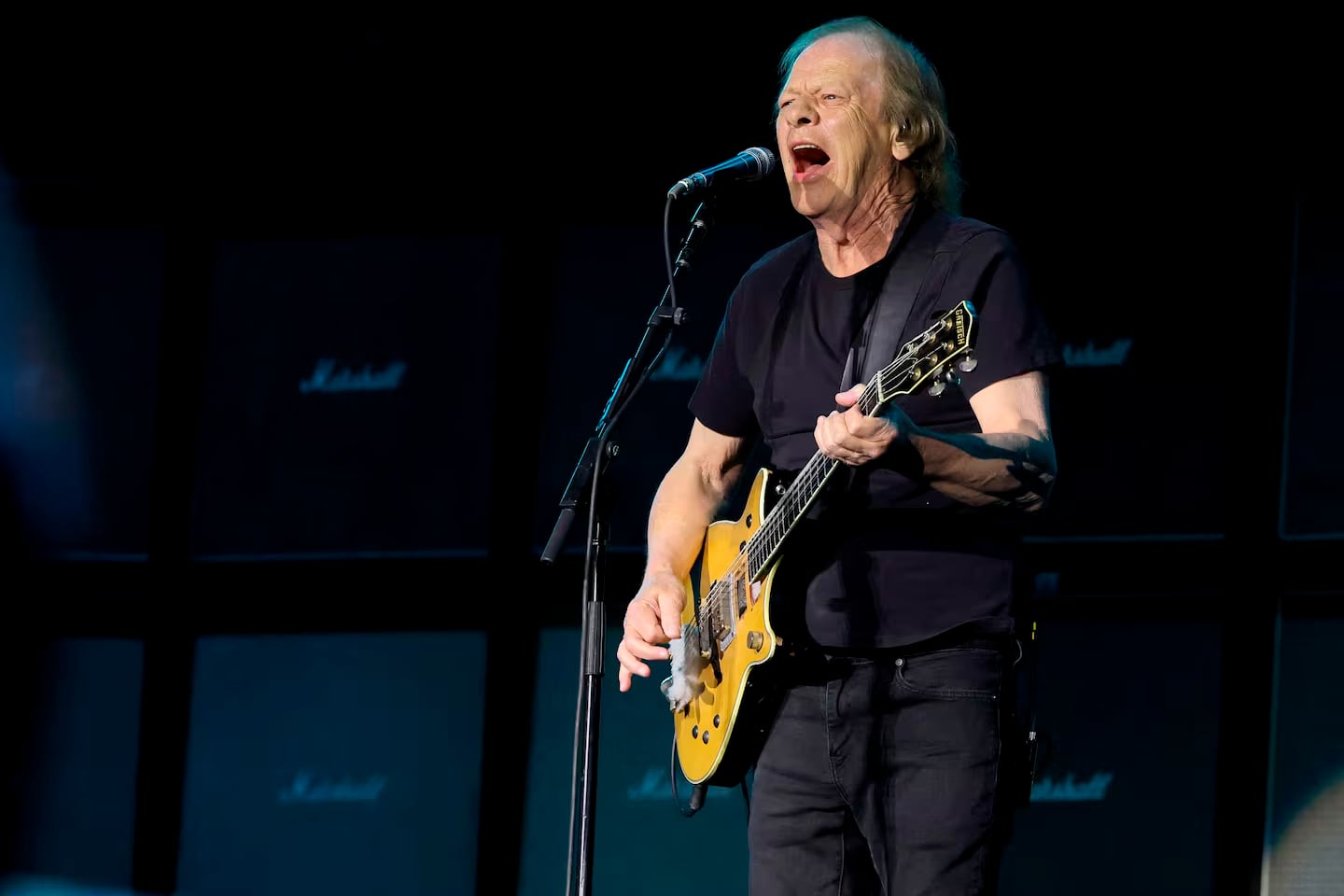 Stevie Young